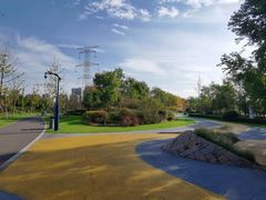 -昆山城市生态森林公园