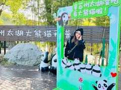 -苏州太湖国家湿地公园