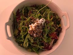 -百好乐宠物友好餐厅(朝外大街店)