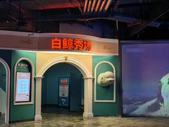 -哈尔滨极地公园