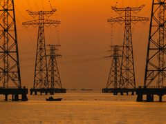 -宝安西湾红树林湿地公园