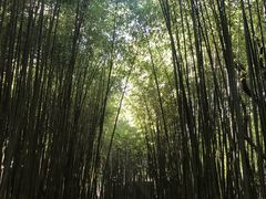 -竹泉村旅游度假区