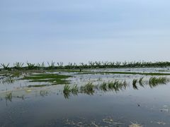 -梁鸿国家湿地公园
