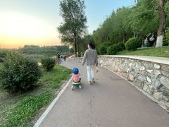 -丁香湖公园
