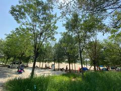 -东郊湿地公园