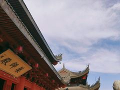 -上海东林寺(金山区)