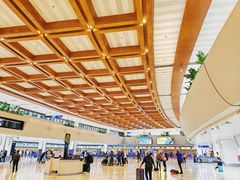-尼诺伊·阿基诺国际机场T1航站楼