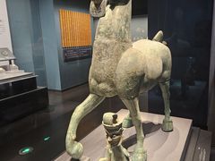 -广西壮族自治区博物馆