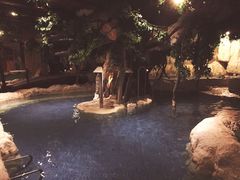 -中铁花水湾温泉酒店(大邑店)