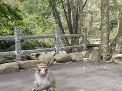 -姑婆山旅游区