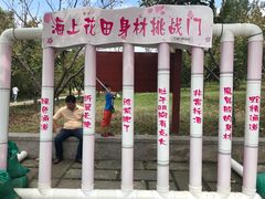 -杭州湾海上花田景区