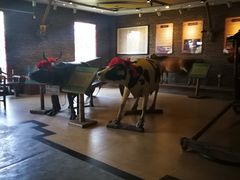 -横沥牛庄(总店)