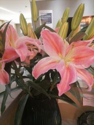 -FineYoga梵音瑜伽·普拉提