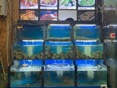 水产区-老东镇啤酒屋海鲜加工·蒸汽海鲜·海鲜烧烤(台东店)