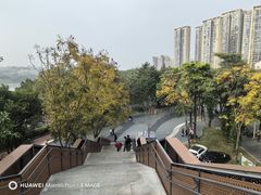 -福道