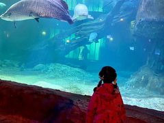 -华夏文旅海洋公园