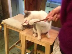 iphone_upload_pic-MIKAKU(万达广场上海宝山店)