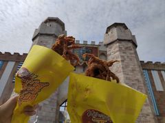 -大连海昌发现王国主题公园