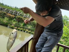 -樂桃源奉贤黄桃种植采摘基地