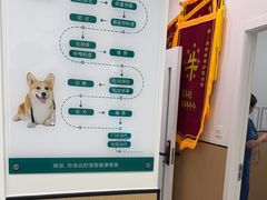 -瑞派康怡24h宠物医院·犬猫医疗中心·微创绝育(瑞景分院)