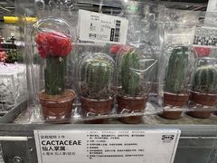 -宜家家居(哈尔滨商场店)