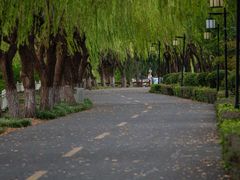 -三山岛