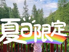 -重庆彩云湖湿地公园