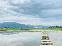 -楠溪江风景名胜区