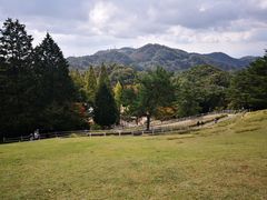 -神户市立六甲山牧场