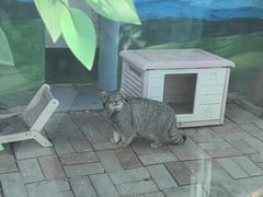 -青藏高原野生动物园