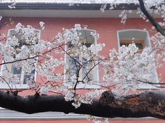 -浙江省杭州高级中学(贡院校区)