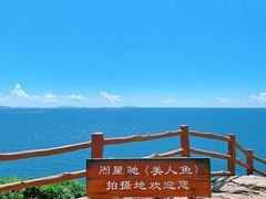 -杨梅坑
