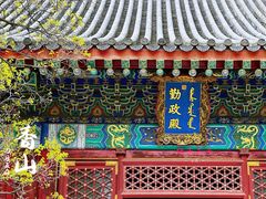 -香山公园