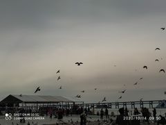 -大连星海广场音乐喷泉
