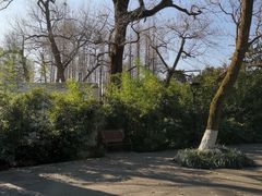 -柳浪闻莺公园