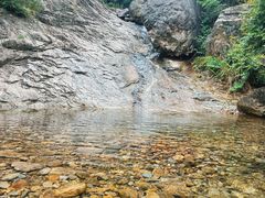 -北仑森林植物园