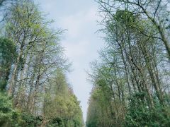 -上海海湾国家森林公园