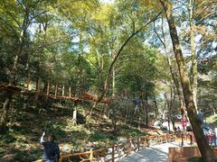 -石燕湖生态旅游景区