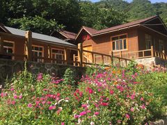 -大岭沟猕猴桃谷风景区