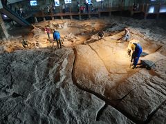 -自贡恐龙博物馆