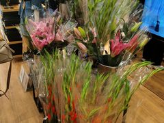 -优衣库(深圳万象天地旗舰店)