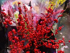 -花鸟鱼虫鲜花绿植市场(玉泉路店)