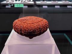 -广西壮族自治区博物馆