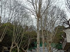 -辛亥革命博物院北区