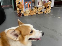 -LaFBagel手作烘焙工作室