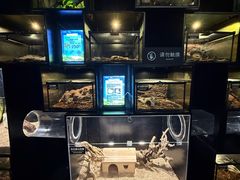 -太平洋海底世界