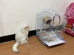 -荔康动物医院(康王北路店)