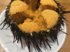 -海胆小馆(东北水饺·春柳店)