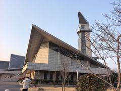 -盐城丹顶鹤湿地生态旅游区