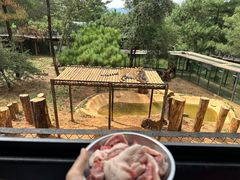 -云南野生动物园